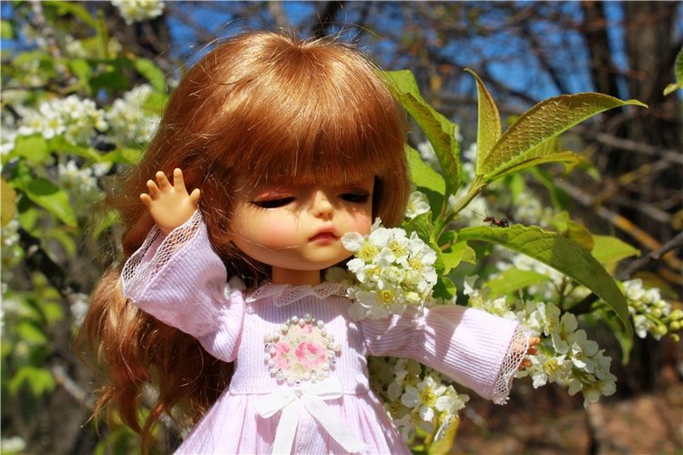 Путешествие Софи в Старицу, продолжение. Lati HoneyBee New Mystic Sophie