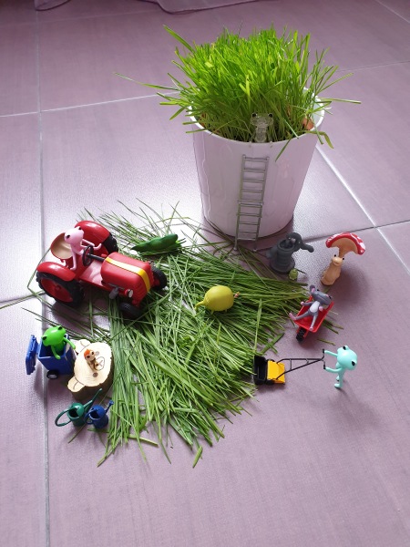 Лягушонок превращается в... мышонка (фото 6)