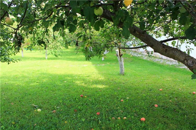 Сентябрьское путешествие в Старицу. Старицкий Свято-Успенский Монастырь (фото 6)