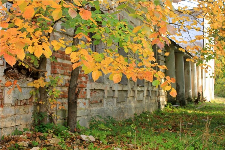 Путешествие Dal Hangry в Грузины, продолжение