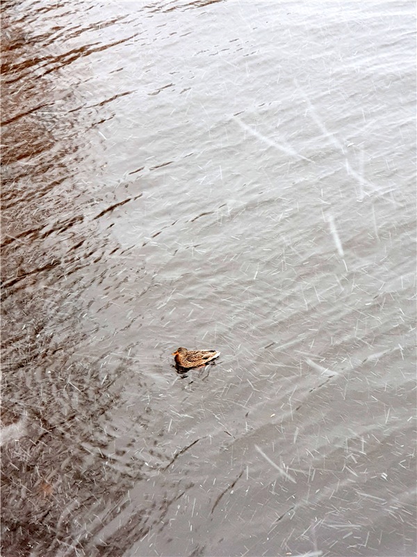 Непогода нынче в моде — Куклы Meadow dolls (Медовушки): BJD (БЖД)