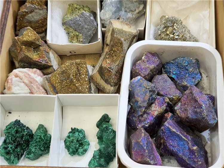 Выставка "Самоцветы Мира" в Твери