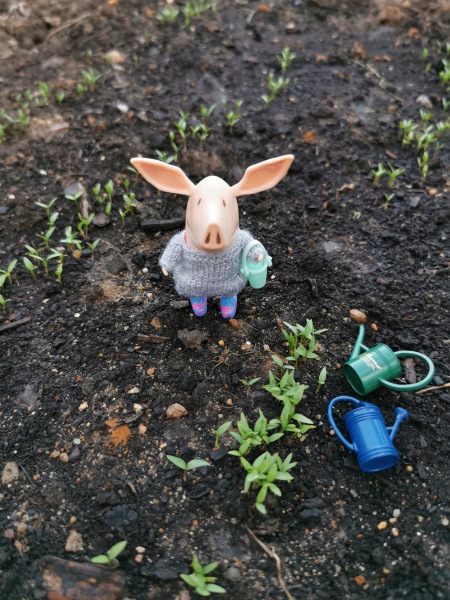 Фигурка свинки Оливии от Spin Master | Бэйбики Фигурка свинки Оливии от Spin Master (фото 10)