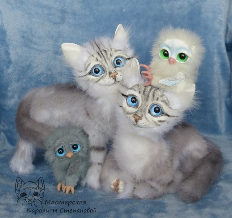 Невские Маскарадные коты серебристого окраса и Совята (фото 5)
