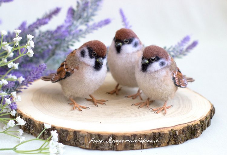 Воробушки — Валяные игрушки из шерсти: сухое валяние (фото 8)