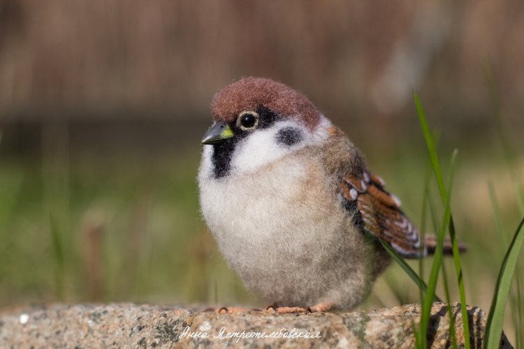 Воробушки — Валяные игрушки из шерсти: сухое валяние
