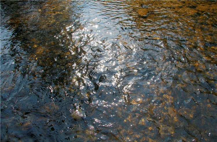 Старицкая Швейцария. Путешествие с Сашей, продолжение. Уникальная кукла от Сильвии Наттерер (фото 5)