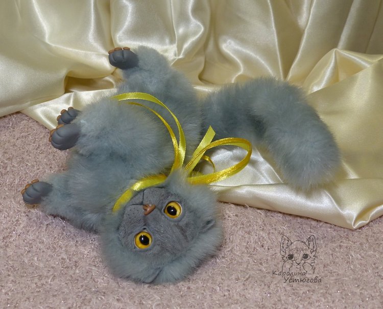 Котенок. Шотландский вислоухий (фото 2)