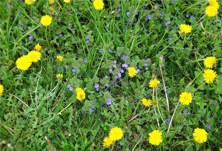 Милый мой город. Прогулка по Твери, заключительная часть