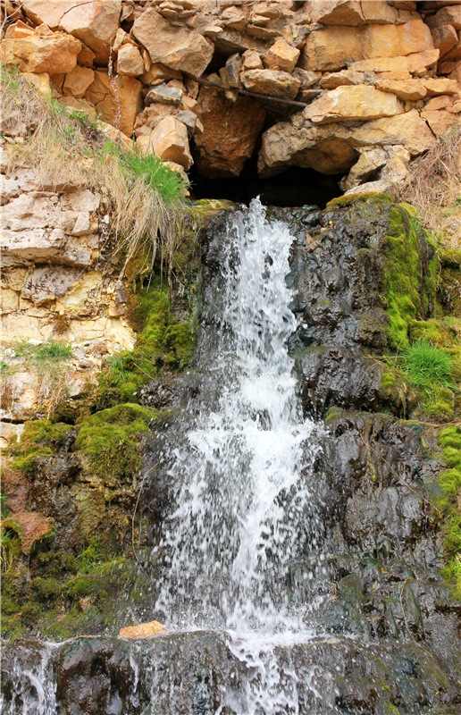 Заблудилась. Georgia от Berdine Creedy