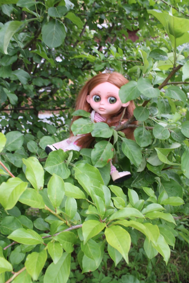 Знакомьтесь - Сайлес Блюнн