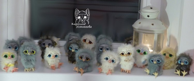 Совята в ожидании Новогодних праздников