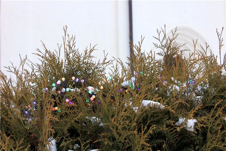 Рождественская Старица — Туризм и путешествия: фотоотчеты из поездок