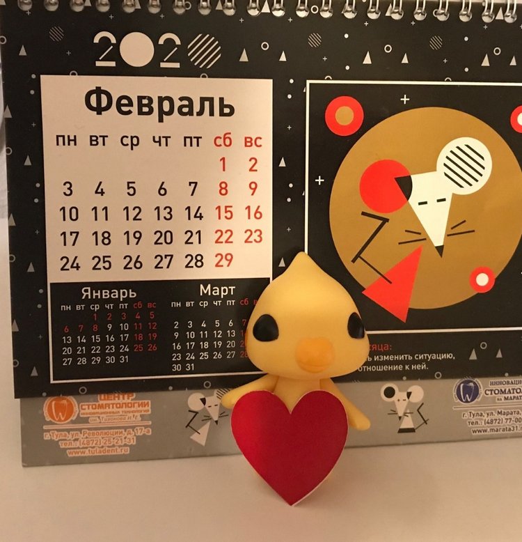 Новый житель - попугайчик Kotoribir (фото 5)