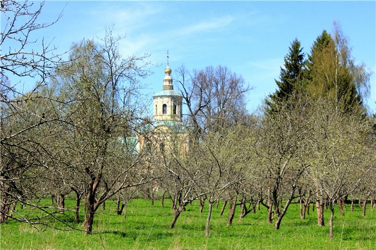 Путешествие Софи в Старицу, продолжение. Lati HoneyBee New Mystic Sophie