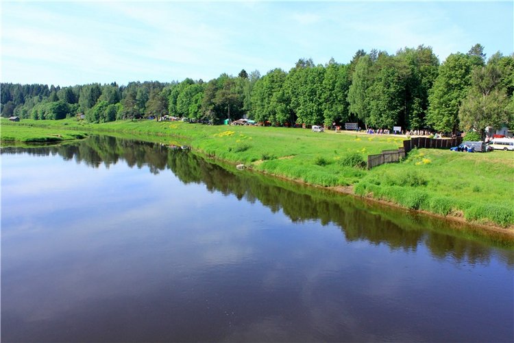 "Троицкие гуляния" в Василёво, 2019 год. Архитектурно-этнографический музей под открытым небом Василёво (фото 3)