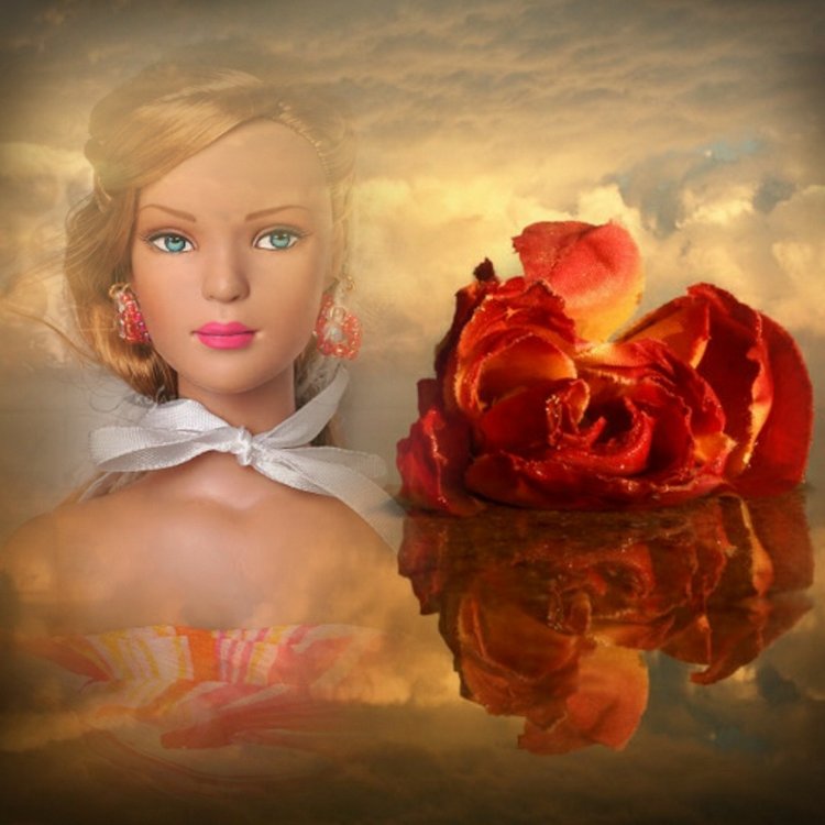 Мои Тоннерки. Фотозарисовки (фото 5)