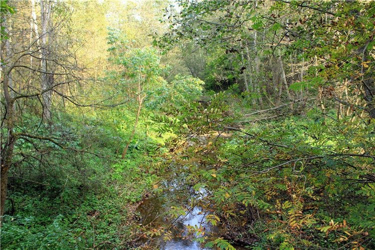 "Бабье Лето" на Водопаде, продолжение (фото 4)
