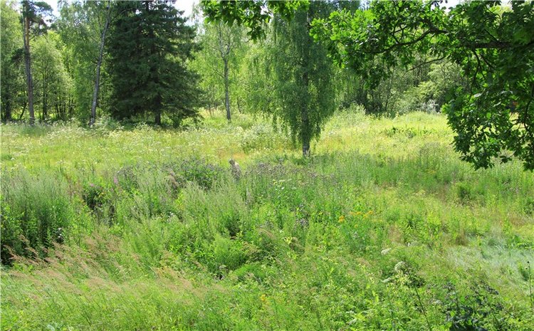 Принцессы в Райке — Куклы