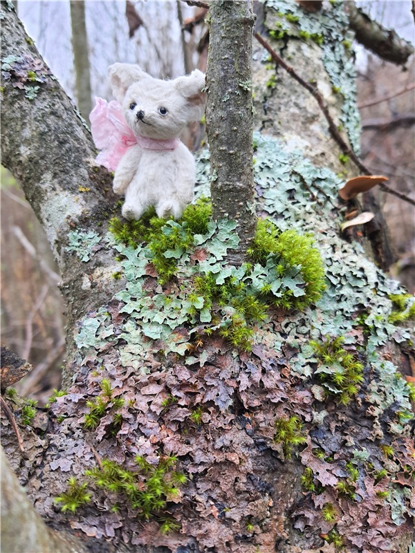 Туманный Ноябрь | Бэйбики Туманный Ноябрь — Куклы Latidoll (Лати): BJD (БЖД)