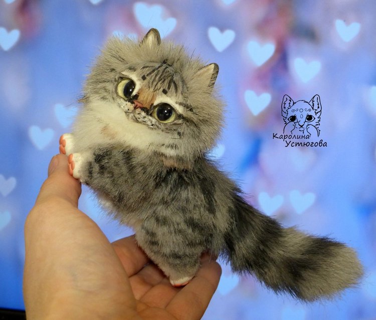 Котята Сибирской породы Табби и Мраморный биколор