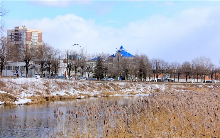 Выставка тюльпанов в Твери, продолжение