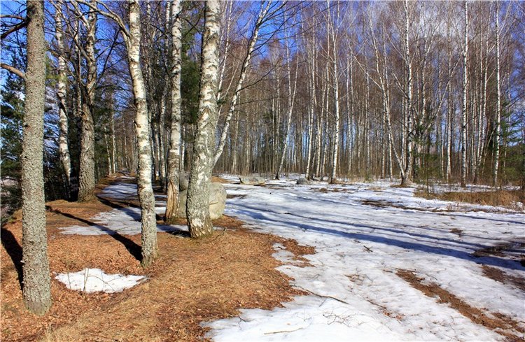 Весна в "Саду Камней" | Бэйбики Весна в "Саду Камней" — Куклы Meadow dolls (Медовушки): BJD (БЖД)