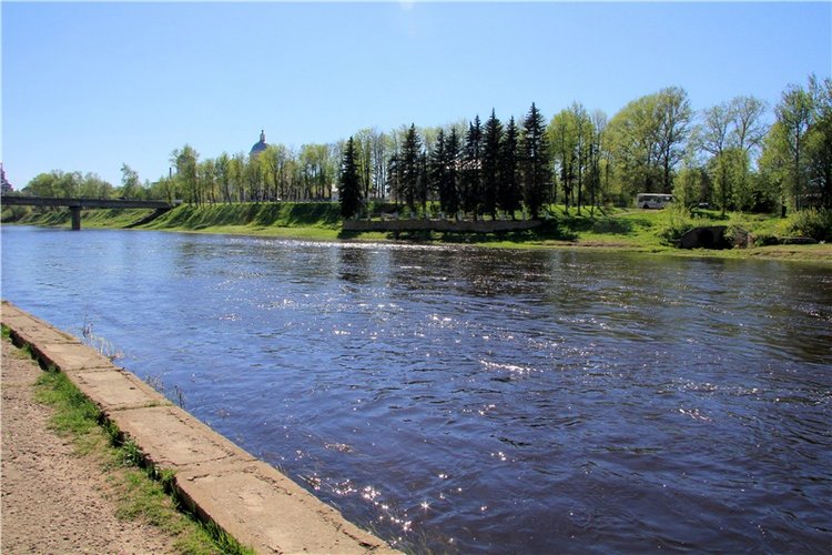 Одуванчиковая нежность, прогулка по Торжку