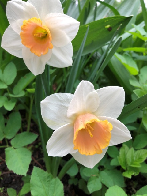 Тони Старк: приключения без брони. Был месяц май, половина вторая (фото 8)