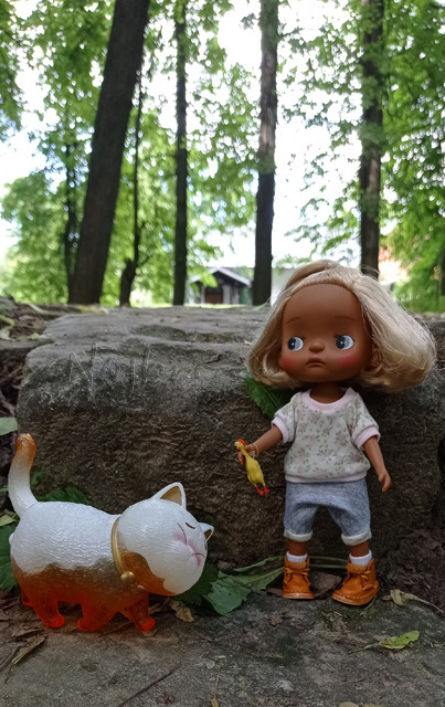 Holala Pipita Peter — Куклы Holala (Холала) от Jenny Fairytown: Pipita