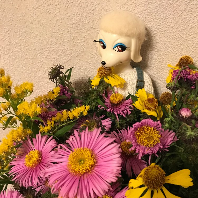 4 сезона Peteena от Hasbro