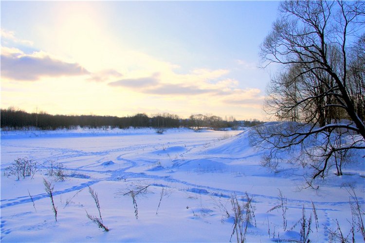 Зимняя прогулка Сони. Уникальная кукла от Сильвии Наттерер
