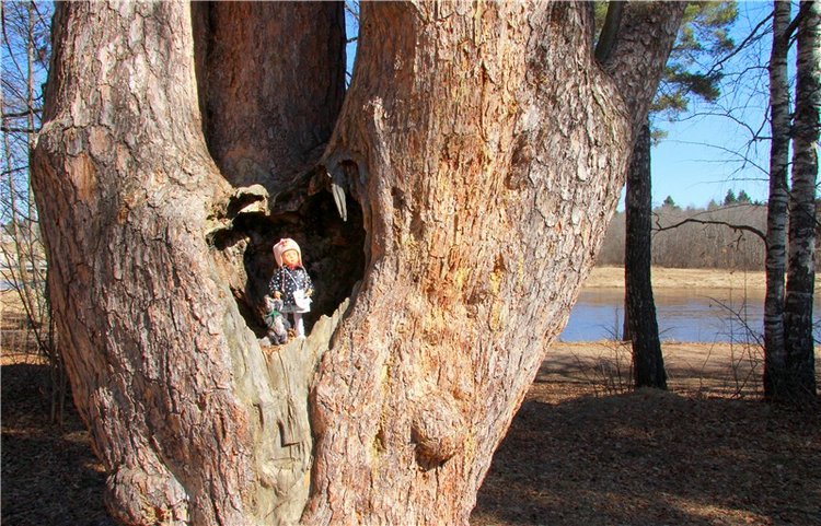 Апрельский день в Василёво
