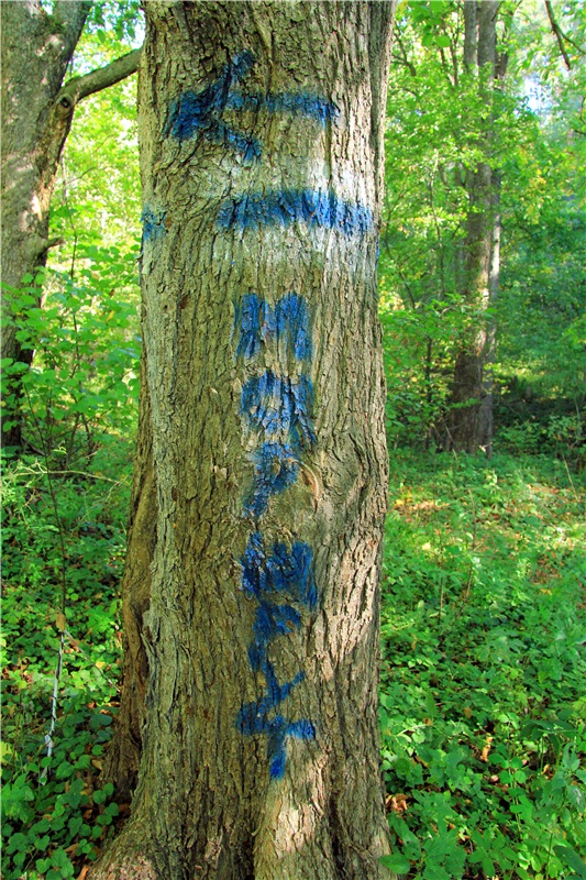 Старицкая Швейцария. Старицкие пещеры, д. Толпино, заключительная часть