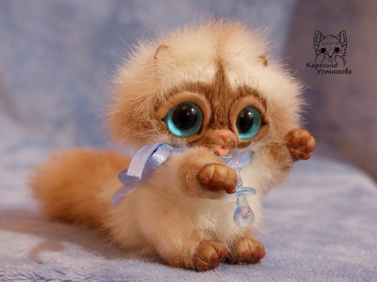 Сиамский котеночек-ребеночек (фото 10)