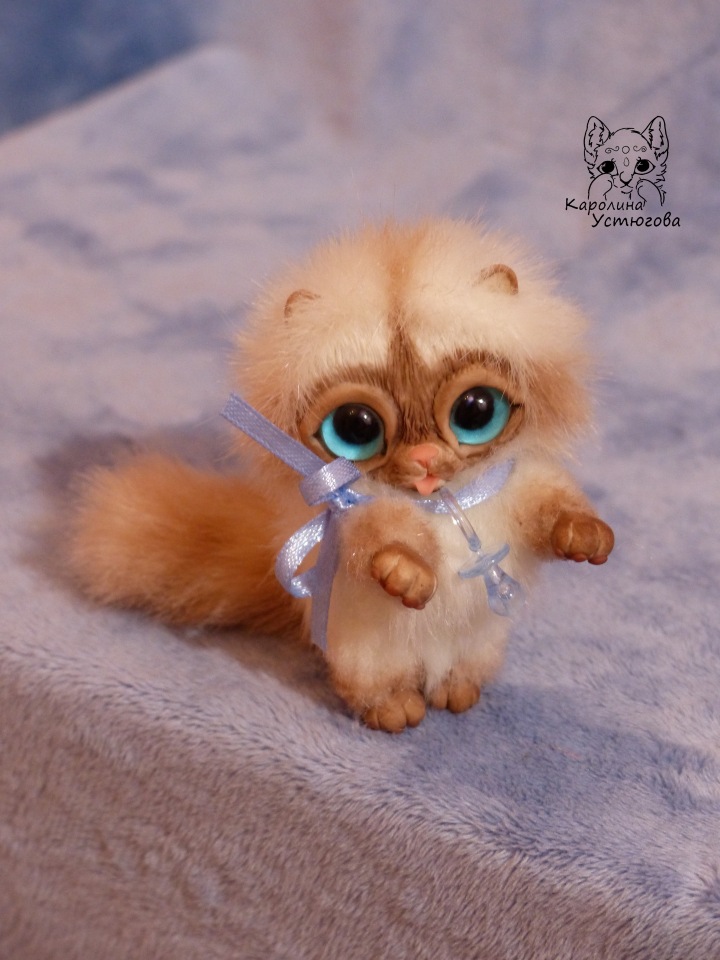 Сиамский котеночек-ребеночек (фото 3)