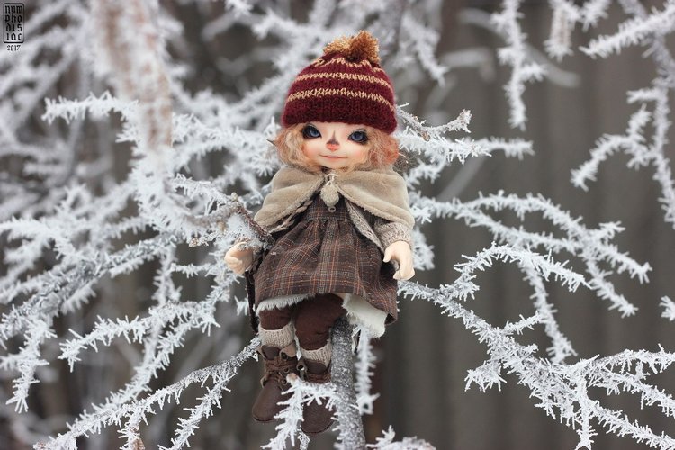 Зимние прогулки с Корицей, Мией и Волчком