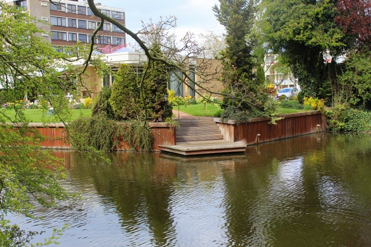 Цветущая Сакура. Прогулка по парку с Алисой. Весенние зарисовки