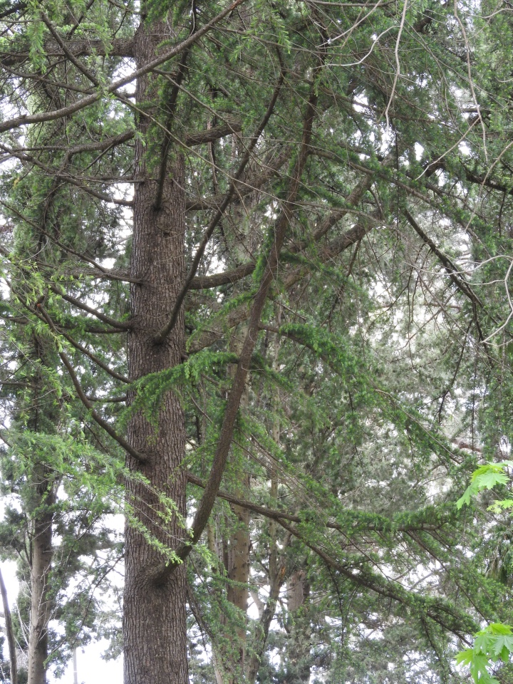 Сочи-Адлер: Южное Взморье - виртуальное путешествие по территории санатория