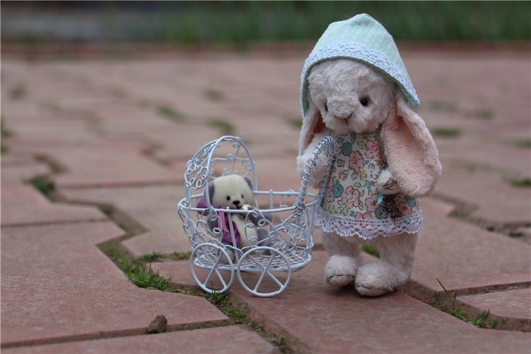 Один раз в год сады цветут