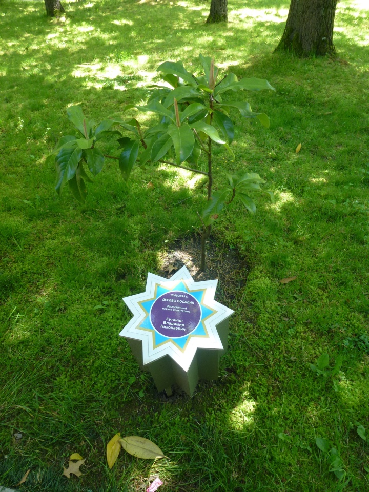 Сочи-Адлер: Южное Взморье - виртуальное путешествие по территории санатория