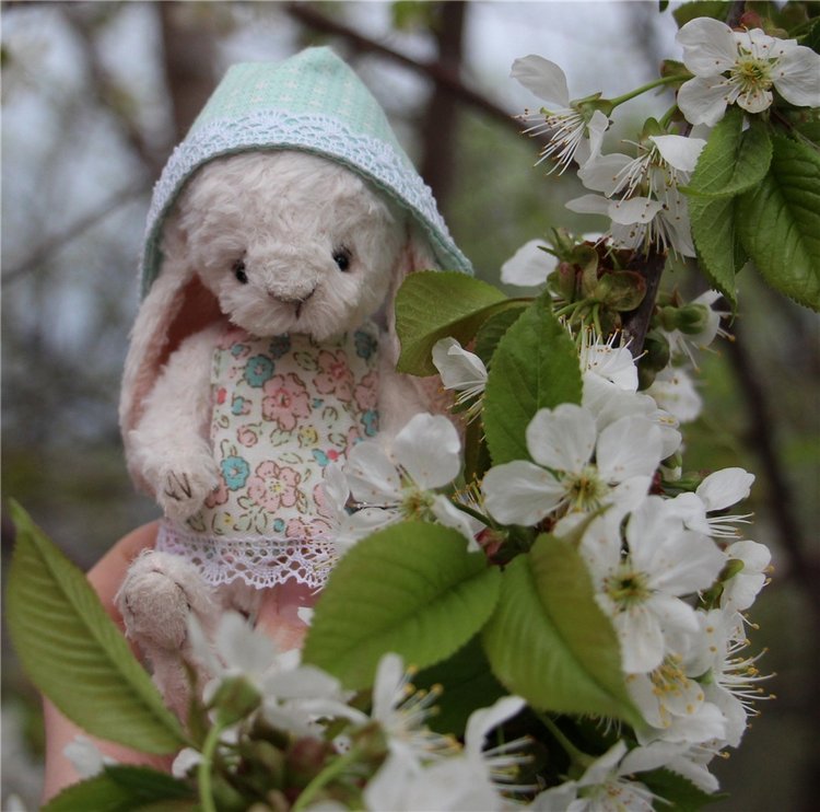 Один раз в год сады цветут