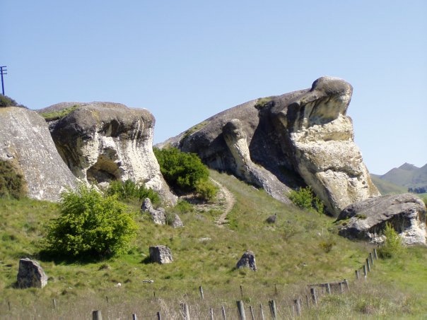 Увлекательное путешествие по Новой Зеландии