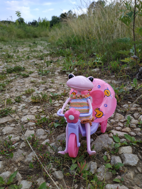 Wonderfrog. Красота в простоте