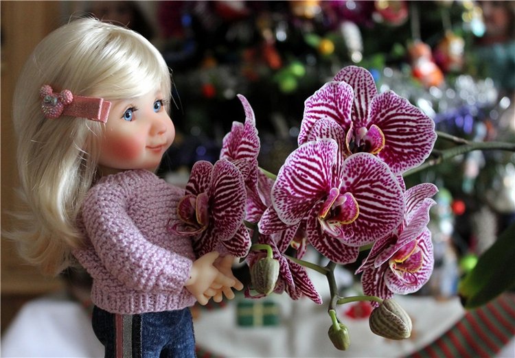 Кирра и "Медовые" девчата. Kyrra Fair Meadow doll