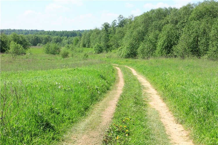 Эля в Иванишах. Twinkles Ella Chocolate