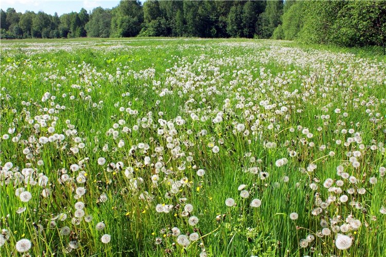 Из Чукавино в Старицу — Культура (фото 9)