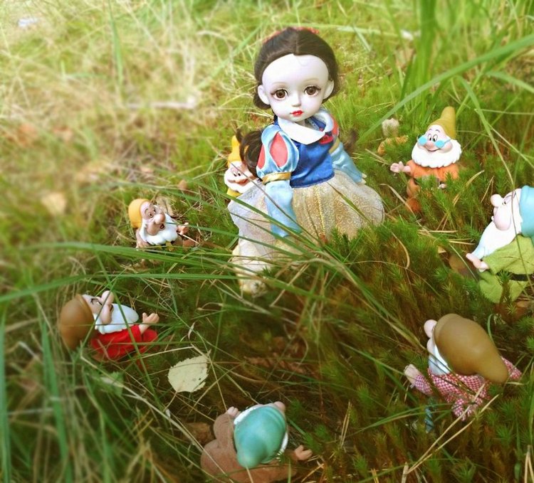 Осеннею порой под старою сосной... Принц, Белоснежка и гномы... встречаются