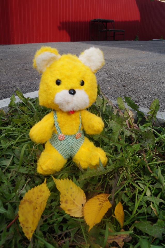 Ура! Суббота! Выписка куколок