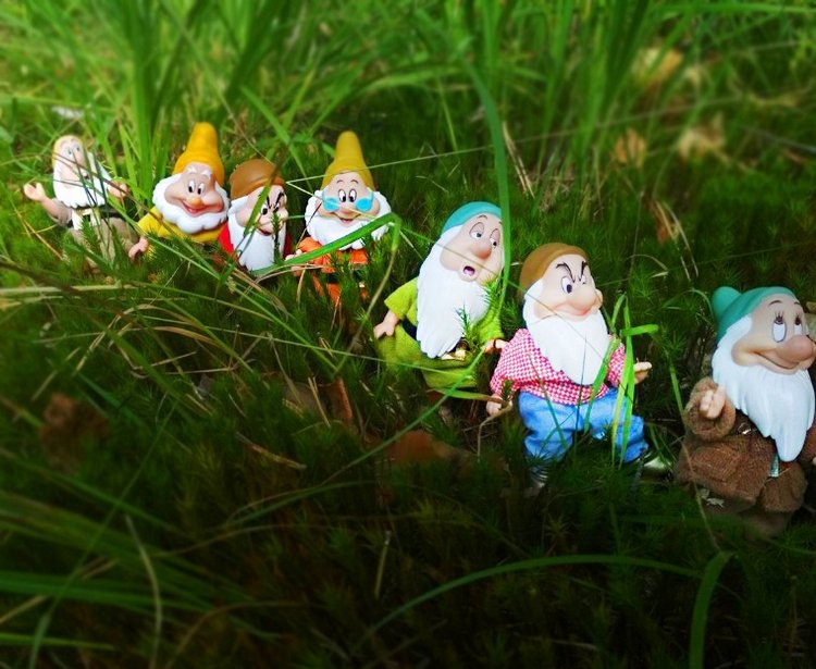 Осеннею порой под старою сосной... Принц, Белоснежка и гномы... встречаются (фото 8)